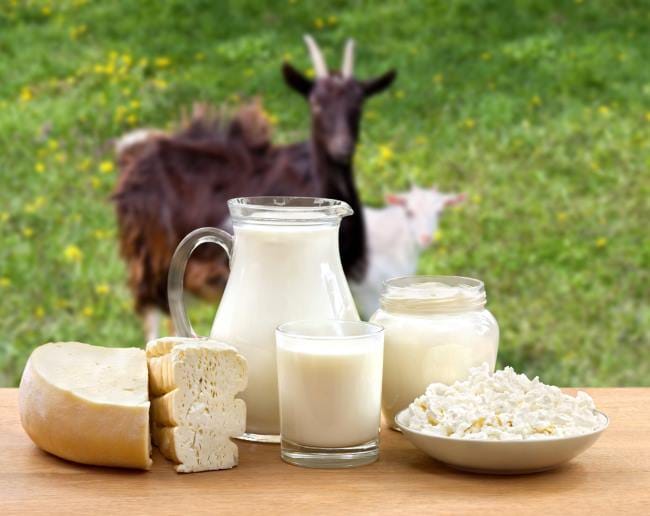 Susu Kambing Bu Tati: Rasa Sehat di Setiap Tetes di Cilacap
